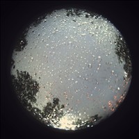 Meteor Capture
