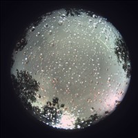Meteor Capture