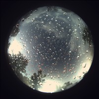 Meteor Capture