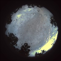 Meteor Capture