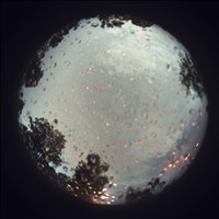 Meteor Capture