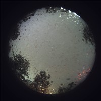 Meteor Capture