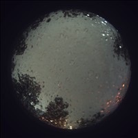 Meteor Capture