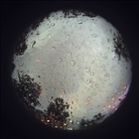 Meteor Capture