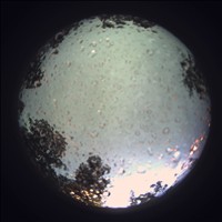Meteor Capture