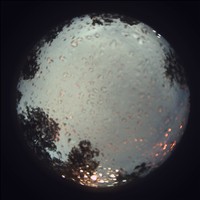 Meteor Capture