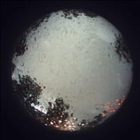 Meteor Capture