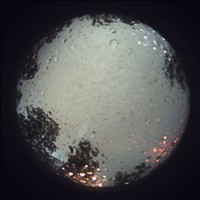 Meteor Capture