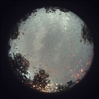 Meteor Capture