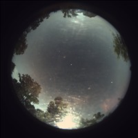Meteor Capture