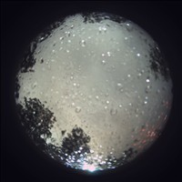 Meteor Capture