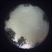 Meteor Capture
