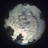 Meteor Capture
