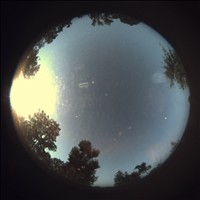 Meteor Capture