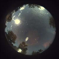 Meteor Capture