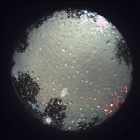 Meteor Capture