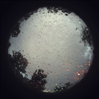 Meteor Capture