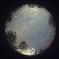 Meteor Capture