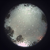 Meteor Capture