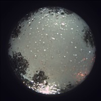 Meteor Capture