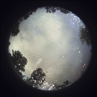 Meteor Capture