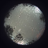 Meteor Capture