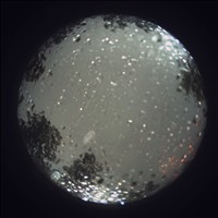 Meteor Capture