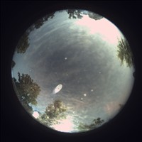 Meteor Capture