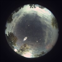 Meteor Capture