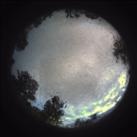 Meteor Capture