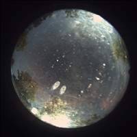 Meteor Capture