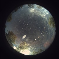 Meteor Capture