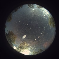 Meteor Capture