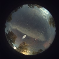 Meteor Capture