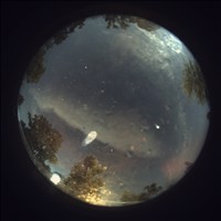 Meteor Capture