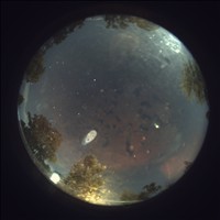 Meteor Capture