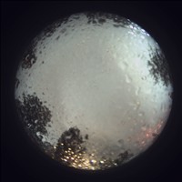 Meteor Capture
