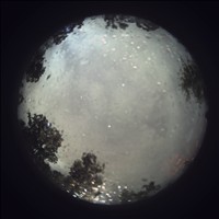 Meteor Capture