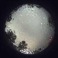 Meteor Capture
