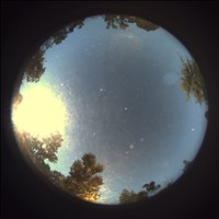 Meteor Capture