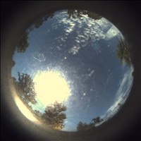 Meteor Capture